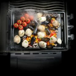 Napoleon Plancha, Gusseisen Emailliert Schwarz -Grillzubehör Verkäufe 2024 1076903 5