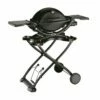 Weber Gasgrill Q 1200 Mobil Black Line Schwarz -Grillzubehör Verkäufe 2024 797360 1