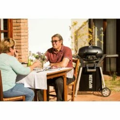 Napoleon Travel Q Pro 285 Gasgrill Schwarz -Grillzubehör Verkäufe 2024 807282 11
