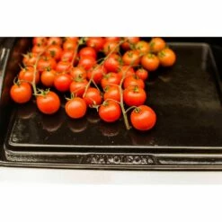 Napoleon Gusseisen-Bratpfanne -Grillzubehör Verkäufe 2024 857266 6