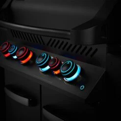 Napoleon Phantom Prestige 500 Gasgrill Mattschwarz -Grillzubehör Verkäufe 2024 napoleon phantom prestige 500 gasgrill 1464598 11