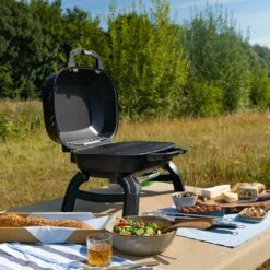 Napoleon TRAVELQ 240 Gasgrill -Grillzubehör Verkäufe 2024 napoleon travelq 240 gasgrill 1464609 2