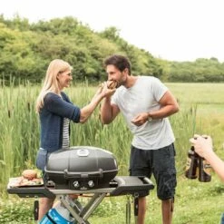 Napoleon Gasgrill TravelQ 285X Mit Klappbaren Wagen Schwarz -Grillzubehör Verkäufe 2024 napoleon travelq 285x gasgrill mit klapbaren wagen schwarz 972865 3